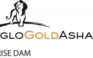 Anglo Gold